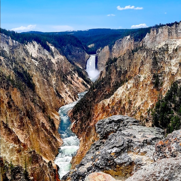 Meet your Posher, Connie - Picture 1 of 1